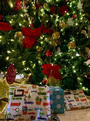 Gifts under tree 